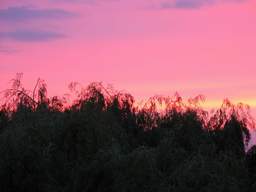 чырвонае неба