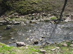 Парк в Гродно