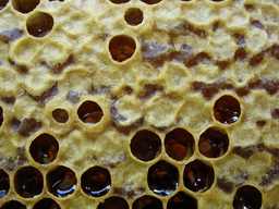 Соты з мёдам