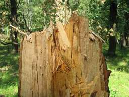 Пасля ўрагану