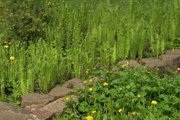 В ботаническом саду